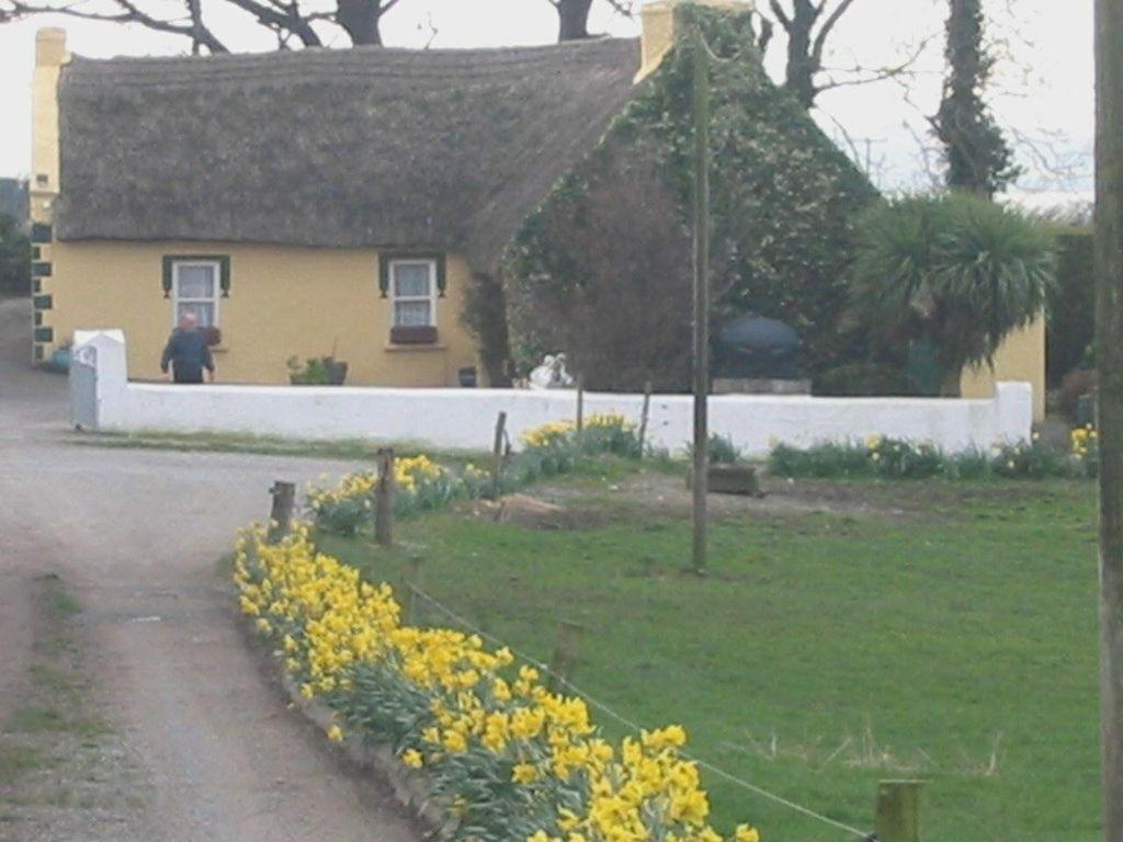 Knights Haven Acomodação com café da manhã Glin Exterior foto